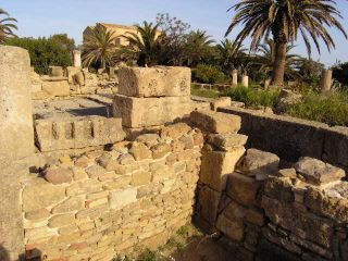 Parte del reticolato urbano dell'acropoli di Selinunte, in evidenza parte delle mura delle antiche abitazioni selinuntine.
