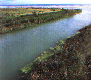 La foce del fiume Belice che sfocia nel mare mediterraneo proprio vicino la veccchia linea ferrata all'interno della riserva del belice.